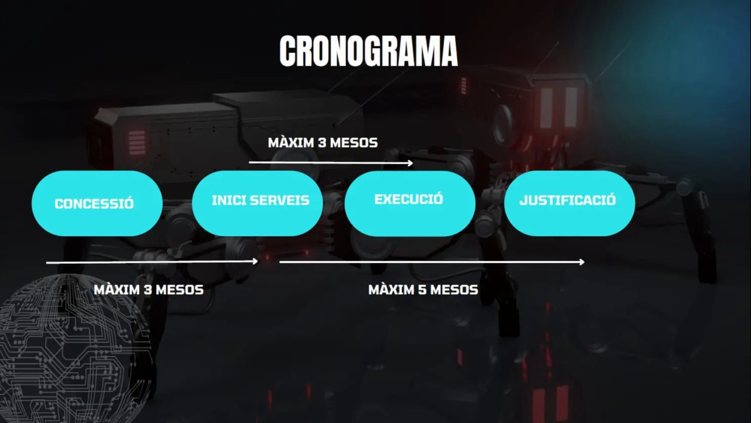 cronograma